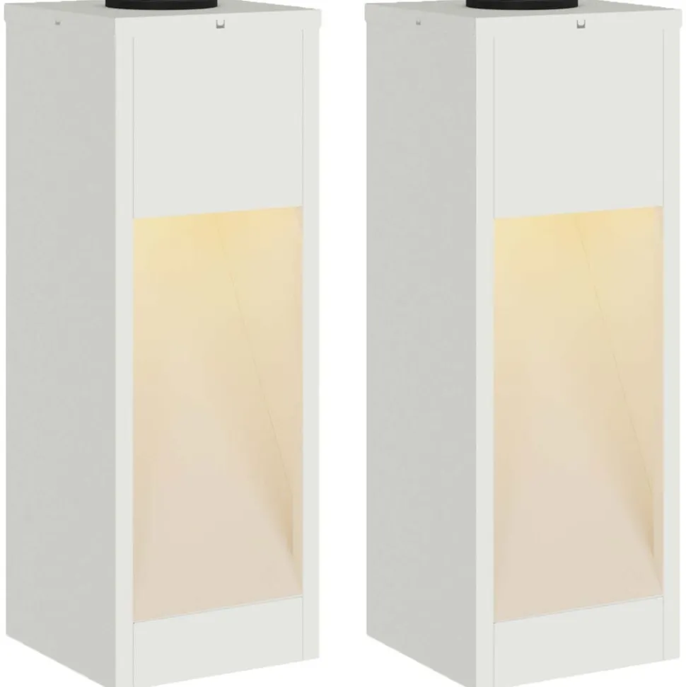 vidaXL Zonne LED Padverlichting 2 pcs Wit Koudgewalst staal