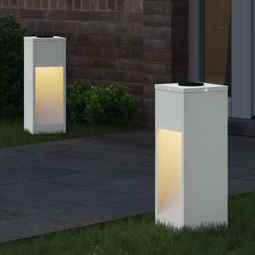 vidaXL Zonne LED Padverlichting 2 pcs Wit Koudgewalst staal
