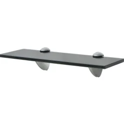 vidaXL Zwevend schap 30x10 cm 8 mm glas